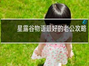 星露谷物语最好的老公攻略