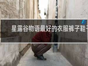 星露谷物语最好的衣服裤子鞋子