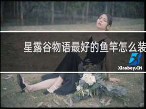 星露谷物语最好的鱼竿怎么装