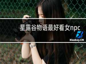 星露谷物语最好看女npc
