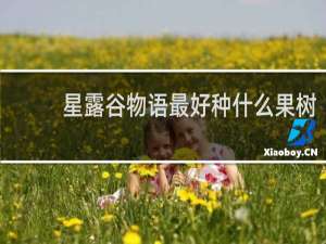 星露谷物语最好种什么果树