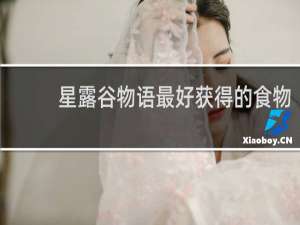 星露谷物语最好获得的食物