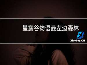 星露谷物语最左边森林