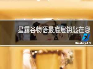 星露谷物语最底层钥匙在哪