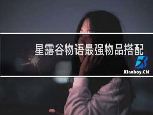 星露谷物语最强物品搭配