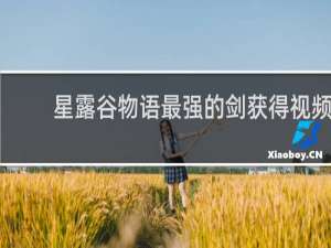 星露谷物语最强的剑获得视频