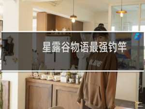 星露谷物语最强钓竿