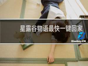 星露谷物语最快一键回家