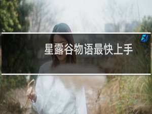 星露谷物语最快上手