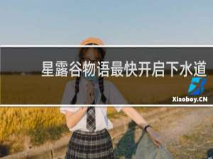 星露谷物语最快开启下水道