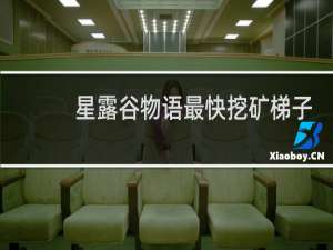 星露谷物语最快挖矿梯子
