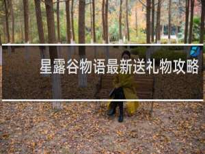 星露谷物语最新送礼物攻略