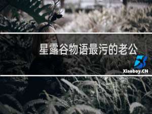 星露谷物语最污的老公