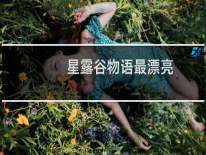 星露谷物语最漂亮