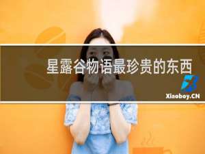 星露谷物语最珍贵的东西