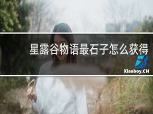 星露谷物语最石子怎么获得