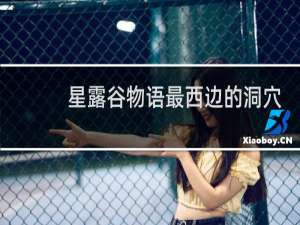 星露谷物语最西边的洞穴