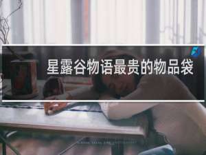 星露谷物语最贵的物品袋