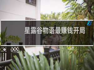 星露谷物语最赚钱开局