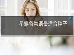 星露谷物语最适合种子