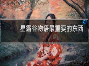 星露谷物语最重要的东西