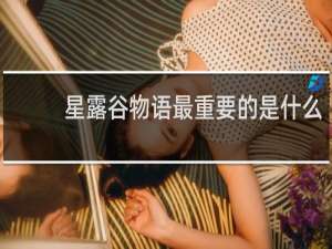 星露谷物语最重要的是什么