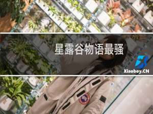 星露谷物语最骚