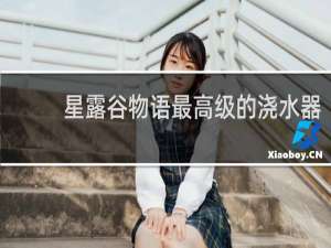 星露谷物语最高级的浇水器