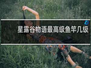 星露谷物语最高级鱼竿几级