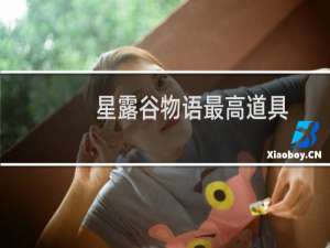 星露谷物语最高道具