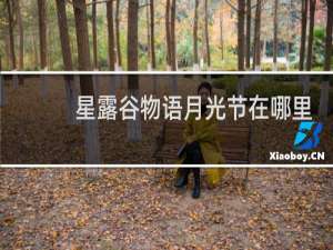 星露谷物语月光节在哪里