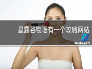 星露谷物语有一个攻略网站