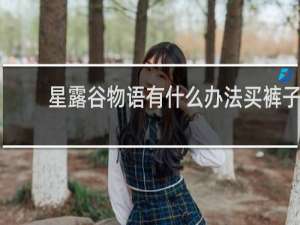 星露谷物语有什么办法买裤子