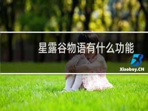 星露谷物语有什么功能