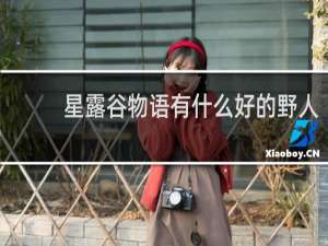 星露谷物语有什么好的野人