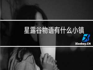 星露谷物语有什么小镇