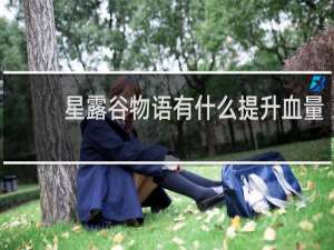 星露谷物语有什么提升血量