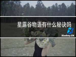 星露谷物语有什么秘诀吗