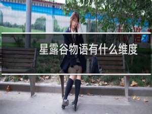 星露谷物语有什么维度