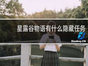 星露谷物语有什么隐藏任务