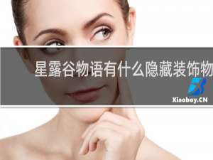 星露谷物语有什么隐藏装饰物