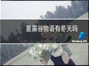 星露谷物语有冬天吗