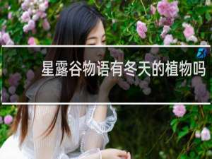 星露谷物语有冬天的植物吗