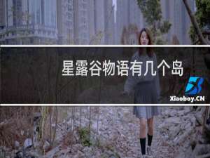 星露谷物语有几个岛