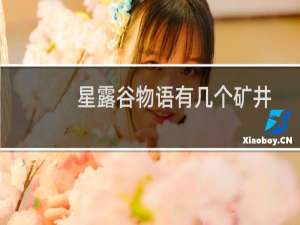 星露谷物语有几个矿井