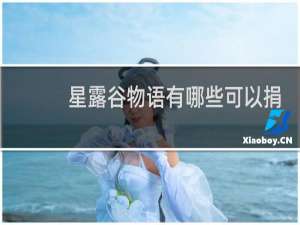 星露谷物语有哪些可以捐