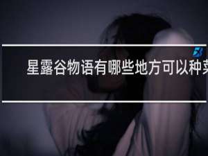 星露谷物语有哪些地方可以种菜