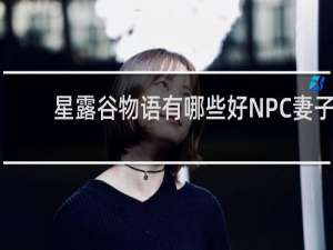星露谷物语有哪些好NPC妻子
