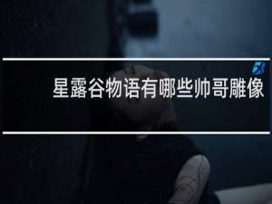 星露谷物语有哪些帅哥雕像