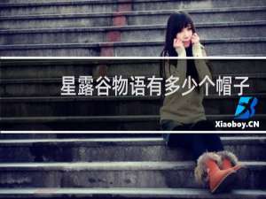 星露谷物语有多少个帽子